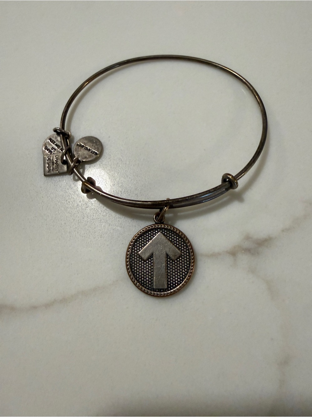 Alex and Ani Stand Up to Cancer Bangle
